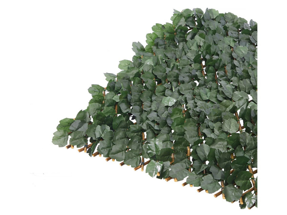 Conjunto de 6 cercas de treliça de salgueiro "Fragon" - 200 x 100 cm - Verde