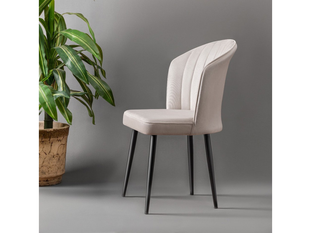 Conjunto de 4 cadeiras de madeira "Rubi" - 52 x 42 x 85 cm - Creme