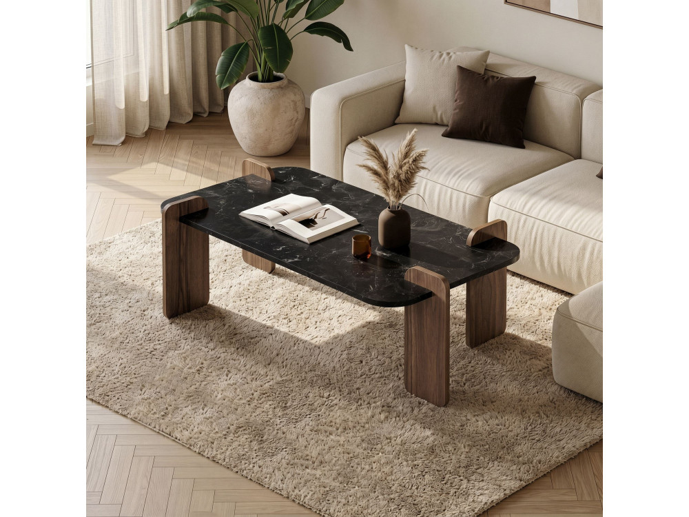 Mesa de centro em madeira "Renard" - 120 x 60 x 35 cm - Preto