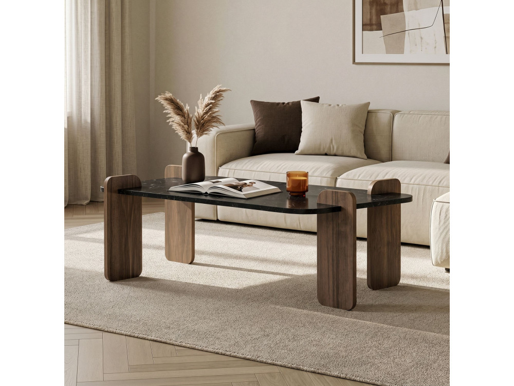 Mesa de centro em madeira "Renard" - 120 x 60 x 35 cm - Preto