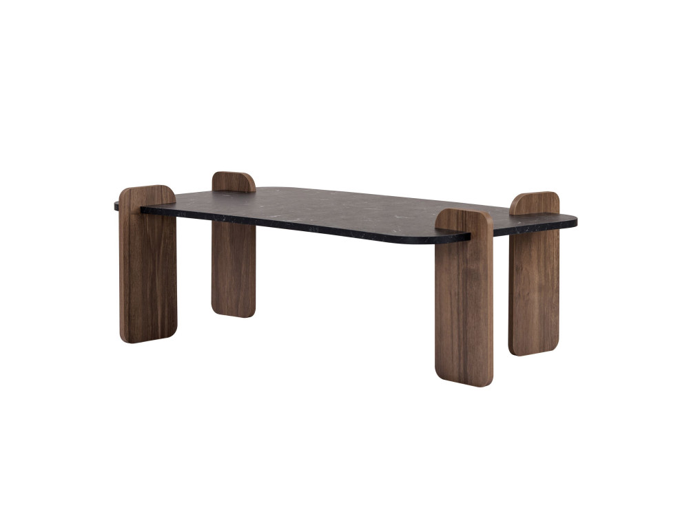Mesa de centro em madeira "Renard" - 120 x 60 x 35 cm - Preto