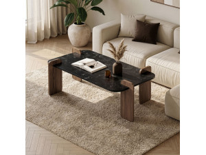 Mesa de centro em madeira "Renard" - 120 x 60 x 35 cm - Preto 2